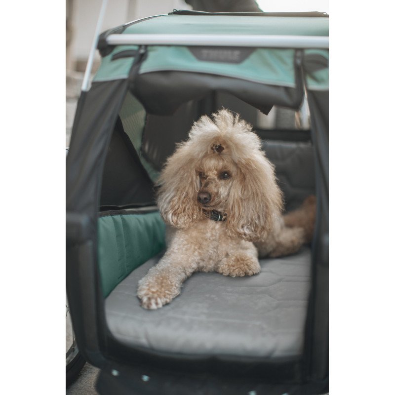 Thule Bexey L Hunde-Fahrradanhänger für große Hunde – Bild 10