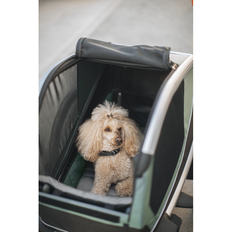 Thule Bexey L Hunde-Fahrradanhänger für große Hunde – Bild 11